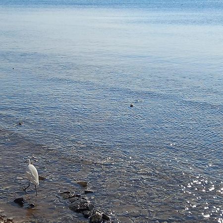 Le Tre Coccinelle Daire Porto Cesareo Dış mekan fotoğraf