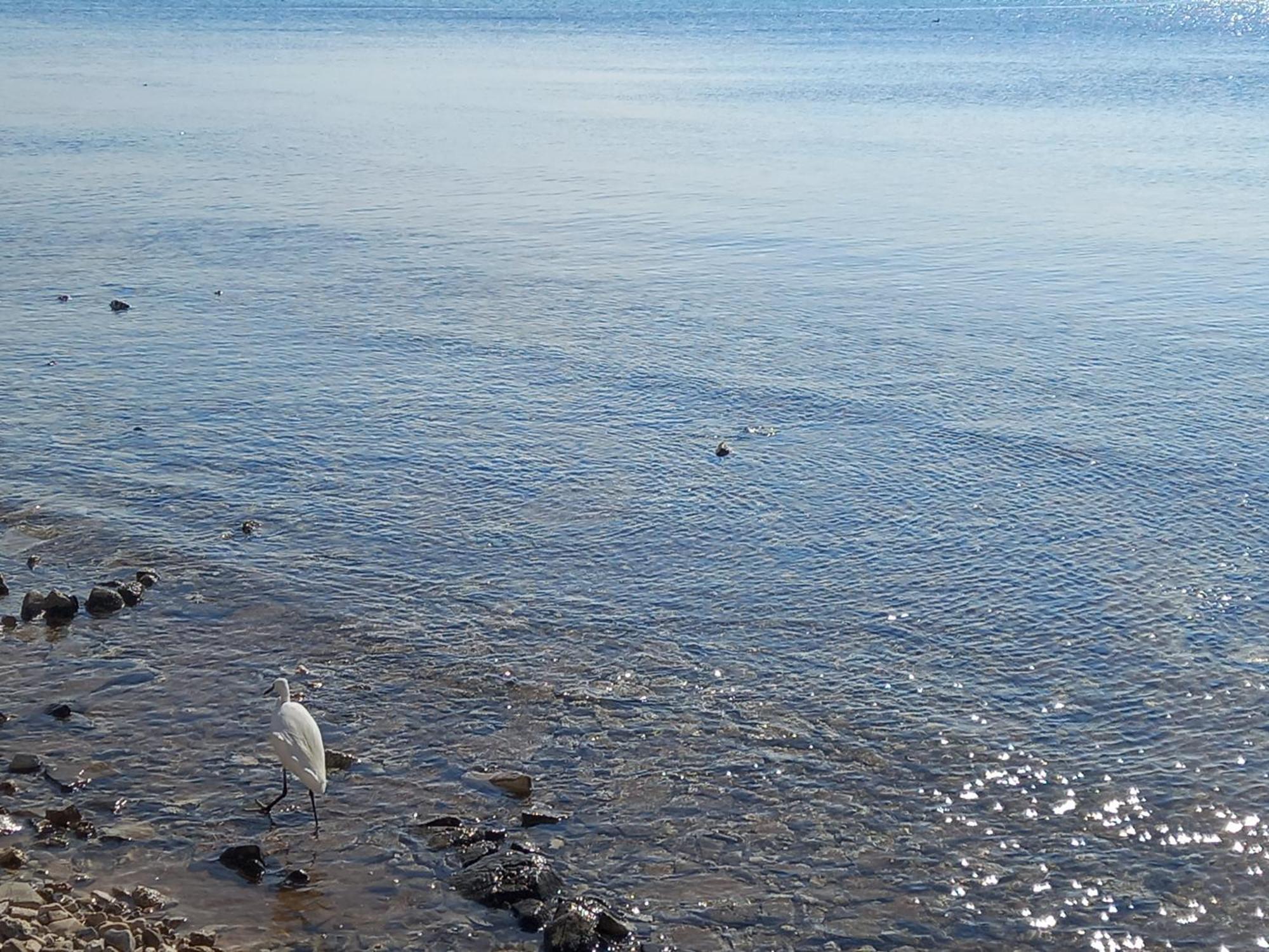 Le Tre Coccinelle Daire Porto Cesareo Dış mekan fotoğraf
