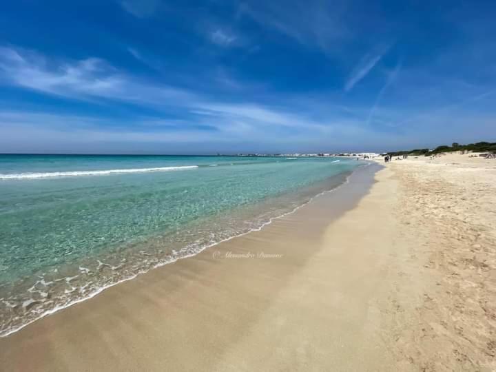 Le Tre Coccinelle Daire Porto Cesareo Dış mekan fotoğraf