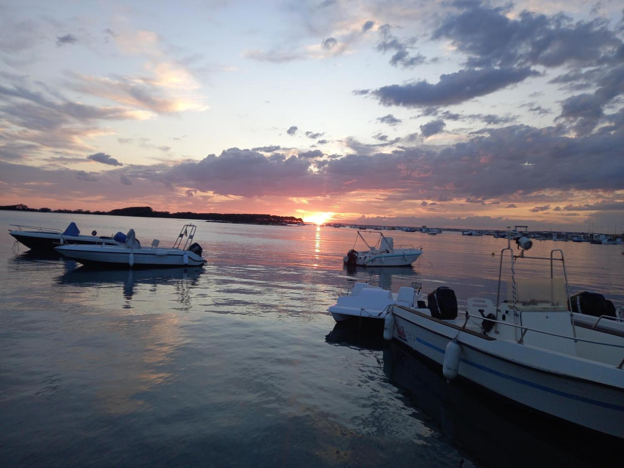 Le Tre Coccinelle Daire Porto Cesareo Dış mekan fotoğraf